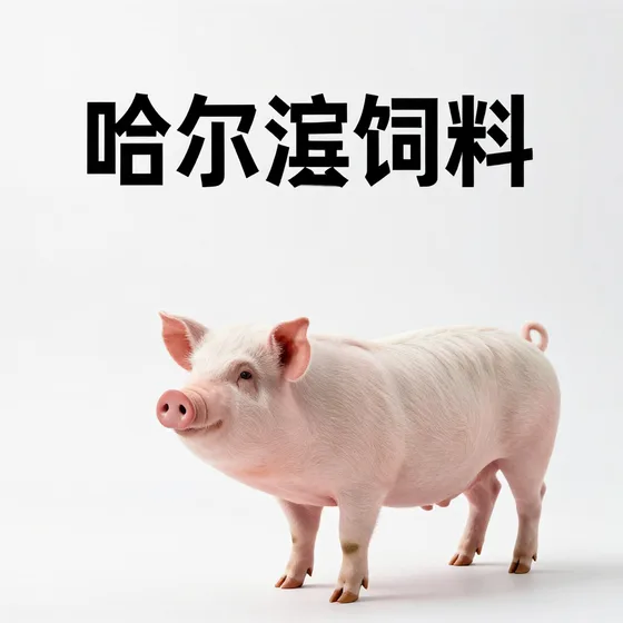液压电磁阀